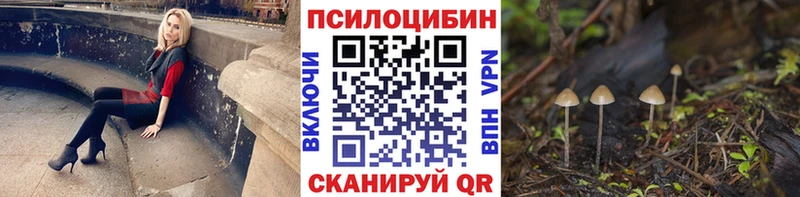 Купить закладки  Отрадная  Галлюциногенные грибы GOLDEN TEACHER 